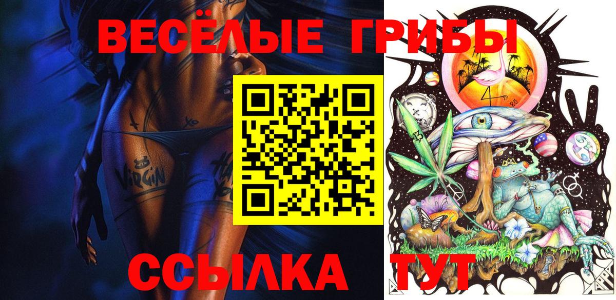 Надым  Псилоцибиновые грибы MAGIC MUSHROOMS  Вход с VPN  Псилоцибиновые грибы Psilocybine cubensis 